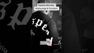 Mystro  Tobetsa Remake Ft Focalistic amp Daliwonga [upl. by Ayahc352]