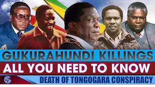 GUKURAHUNDI PART ONEWhy the military remains ED’s number one threat outside politics [upl. by Gusti]