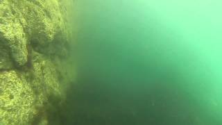 Wrasse Fishing with Underwater Camera Footage at Holyhead Breakwater Wales UK part 1 of 3 [upl. by Ajiak]