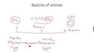 ALevel Chemistry Organic Nitrogen Compounds Part 3 [upl. by Nivk610]