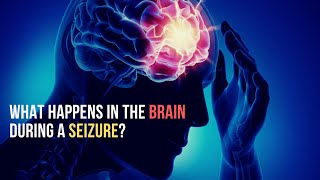 What happens in Brain during Seizure Neurobiology [upl. by Orvas]