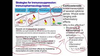 Lecture 21 Immunotherapy [upl. by Hanoy]