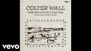 Colter Wall  Houlihans at the Holiday Inn Audio [upl. by Rosco]