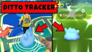 How to Catch Ditto in Pokemon Go  Ditto Disguise September in Pokemon GO  Pokemon Go Shiny Ditto [upl. by Enitsirt966]