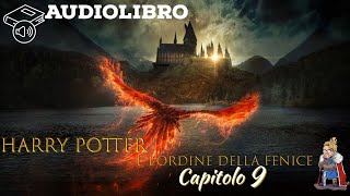 Audiolibro  Harry Potter e lordine della fenice  Lettura e Commento Cap 9 [upl. by Breech]