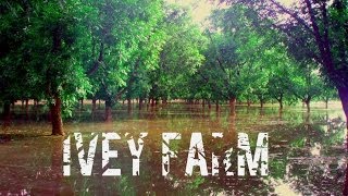 Ivey farm [upl. by Alinna]