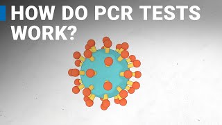 How do COVID19 tests work RTPCR explained [upl. by Tnattirb]