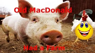 quotOld Macdonald Had a Farmquot 2 with Puppets wwwYouTubecomSunRiseFilmandVideo [upl. by Karab]