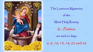 The Luminous Mysteries  In Petition  Annual 54 Day Rosary Novena [upl. by Kohl]