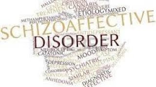 How To Manage Schizoaffective Disorder Interview w Joseph McDermott [upl. by Nerad]