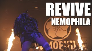 NEMOPHILA  REVIVE Official Live Video [upl. by Bullis]