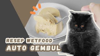 Resep Wet Food Kucing Murah  AUTO GEMBUL BULU LEBAT [upl. by Haff]