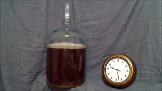 Beer Fermentation Time Lapse [upl. by Adnert481]