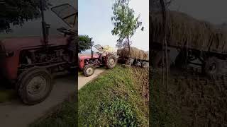 Massey Ferguson 2wd tractor stuck shorts trending tractor youtubeshorts masseyferguson [upl. by Corrinne770]