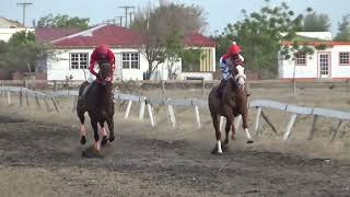 Barbuda 26 June 2022 Race 5 [upl. by Woodward]