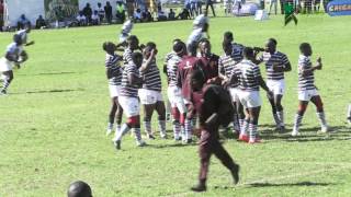 Dairibord Rugby Festival 2017 Prince Edward vs Hillcrest [upl. by Adaliah]