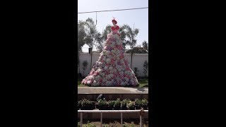 Flower show in rajkot2018 [upl. by Joung]