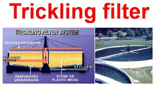 Trickling filter system [upl. by Sacci642]