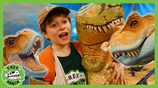 Can You Find the Baby TRex  TRex Ranch Dinosaur Videos for Kids [upl. by Eerat389]