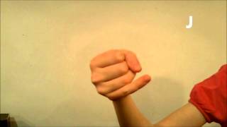 American Sign Language ASL Lesson Animals amp FGHIJ [upl. by Anigger]