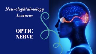 NEUROOPHTALMOLOGY lecture 5 PAPPILOEDEMA complete explanation [upl. by Lednyc]