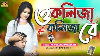 ও কলিজা কলিজা রে I o kolija kolija re  Larjina parbin notun koster gaan [upl. by Alverta942]