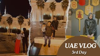 Sheikh Zayed Mosque Fujairah City Tower Hotel Fujairah UAE Vlog  Day3 [upl. by Nylidnarb]