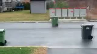 When the VTEC KICKED IN YO  Trash can edition  Funny video [upl. by Bashee]