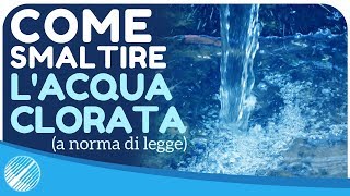 Come e dove scaricare l’acqua clorata della piscina a norma di legge  BSVillageTV [upl. by Aklam]