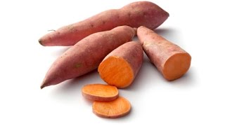 How to Grow Sweet Potatoes  Complete Growing Guide [upl. by Yasibit815]