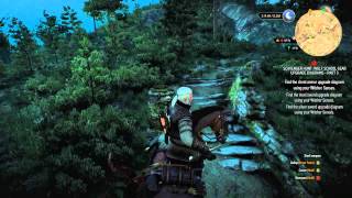 The Witcher 3 Act 2  Wolven Silver Sword Superior [upl. by Yeltihw]