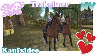 Star Stable SSO  Der neue Trakehner PFERDEKAUF  Lets Play Deutsch [upl. by Yeung]