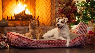 Special  A Very Happy Yule Log  Hallmark Movies amp Mysteries [upl. by Eltsirhc]