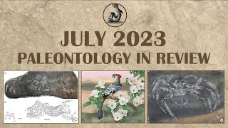 July 2023 Paleontology in Review [upl. by Fogg89]