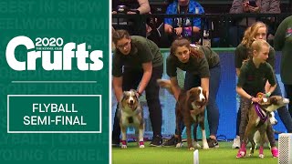 YKC Flyball  Final  Crufts 2020 [upl. by Reames]