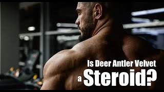 Is Deer Antler Velvet a Steroid Testosterone Growth Factors and PEDs [upl. by Quartet]