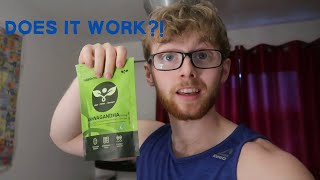 Does Ashwagandha Really Work  My Honest Review [upl. by Enrev]