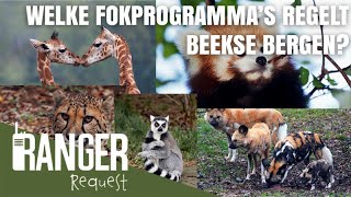 WELKE FOKPROGRAMMAS REGELT BEEKSE BERGEN  Ranger Request [upl. by Etnoval638]