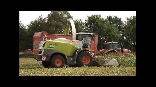 Van Dijck nv mais hakselen 2016  Claas Jaguar 950 [upl. by Helali]