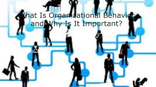 What Is Organizational Behaviour and Why Is It Important [upl. by Onirefez]