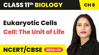 Eukaryotic Cells  Cell The Unit of Life  Class 11 Biology Chapter 8  CBSE 202425 [upl. by Zola172]