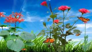 Morning Flower Animated Wallpaper httpwwwdesktopanimatedcom [upl. by Pietra]