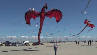 1000s of flying kites on the beach Fanø Denmark 🇩🇰 [upl. by Rednaskela]