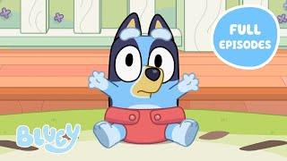 Heeler Family Time 💙 🧡  Full Episodes  Baby Race Asparagus and More  Bluey 💙 [upl. by Mialliw]