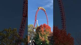 Roller Coasters in the Fall hit different 🍁 themepark amusementpark rollercoaster coaster [upl. by Gibeon291]