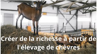 Comment devenir millionnaire à partir de lélevage de chèvres [upl. by Aneetsirhc390]