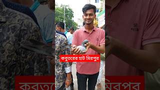 কবুতর  Kobutor  Kabutor  Pigeon  Mirpur 1 Kobutor Hat  মিরপুর ১ কবুতরের হাট shorts birds [upl. by Kali]