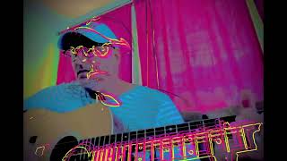 Whole Wide World by Wreckless Eric Acoustic Cover [upl. by Hansel]