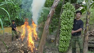 2 year living in forest Harvest Big Bananas to market sell Prepare land grow vegetables [upl. by Ahsemal249]