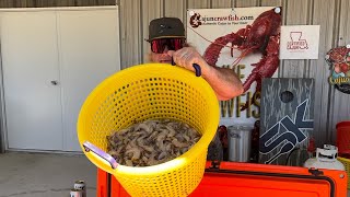 Boiled shrimp that will peel [upl. by Pepe]